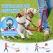 Nasjac Double Dog Leash - No-Tangle 360 Rotatable Bungee Leash for Small Medium & Large Dogs | Adjustable Shock-Damping & Reflective | Perfect for Running & Training - Buy Online on GoSupps.com