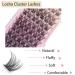 Losha 72 Pcs Cluster Lashes Extension 8-16mm D Curl | DIY Eyelash Extensions | Wispy False Eyelashes | B10-8-16mm Mix - Buy Online on GoSupps.com