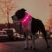 Masbrill LED Dog Collar - Waterproof Adjustable Luminous Safety Collar with 3 Flashing Lights for Small Medium & Large Dogs - Pink (28-40cm) - Buy Online on GoSupps.com
