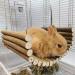 Buy Rabbit Wood Swing - Multifunctional Wooden Hamster Hammock for Mice & Sparrows | Natural Cute Resting Platform (20x30 cm) - Buy Online on GoSupps.com