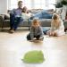 JUNERAIN Super Soft Frog Plush Stuffed Animal 30cm Grass Green - Adorable Hugging Pillow Toy for Kids, Toddlers, Girls, Boys - Cuddly Frog Decoration - Buy Online on GoSupps.com