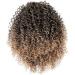 Afro Short Curly Drawstring Ponytail - Kinky Curly Synthetic Hair Extensions for Women - Buy Online on GoSupps.com