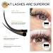 LashView 0.20mm D Curl Ellipse Flat Eyelash Extensions - Soft & Easy Application Mixed Tray (1 Pack) - Buy Online on GoSupps.com