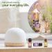 Violet Lily Honeysuckle Essential Oils Set 100% Pure Premium Grade Natural Fragrance Oil Gift kit for Diffusers Home Care Candle Making Fragrance Aromatherapy Humidifiers Violet + Lily + Honeysuckle 10.00 ml (Pack of 3) - Buy Online on GoSupps.com