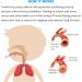 Lung Exerciser & Mucus Removal Device | Improve Lung Capacity & Clear Airways | For Adults, Athletes, Smokers, Swimmers | Blue-1 - Buy Online on GoSupps.com