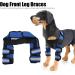 Dog Front Leg Protector 1 Pair Dog Front Leg Braces Wrist Guard for Ligament Injuries Sprains for Loss of Stability(#3 S) - Buy Online on GoSupps.com