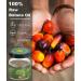 Buy Dr Sebi Batana Oil for Hair Growth | 100% Pure Organic Unrefined | 8.43 OZ - Enhance Hair Growth for Men & Women - Buy Online on GoSupps.com