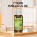 Cyperus Rotundus oil Cyperus Rotundus oil for hair removal organic cyperus rotundus oil moisturizing soothing ideal for all skin types 1 set 1 piece green 50 ml 50ml green - Buy Online on GoSupps.com
