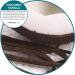 Fresh Products MYFF6I036M72 My Fresh Freshener Refill44 Coconut Vanilla - Buy Online on GoSupps.com