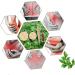 Buy Solustre DIY Moxa Roll & Moxibustion Tools - International Shipping Available - Buy Online on GoSupps.com