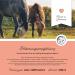 Annimally Electrolyte Liquid for Horses 1000ml - Sugar-Free Electrolyte Formula with Sodium Potassium Calcium Magnesium & Vitamin B - Buy Online on GoSupps.com