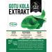Gotu Kola Extract 10% Asiaticoside - 120 Vegan Capsules | Additive-Free Highly Dosed Made in Germany - Buy Online on GoSupps.com
