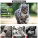 Reflective AirTag Cat Collar with Bell - GPS Leather Collar for Girl Boy Cats & Kittens 7-9 Inch - Integrated Apple AirTag Holder - Blue - Buy Online on GoSupps.com