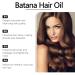 100% Natural Batana Oil for Hair Growth | Dr. Sebi's Solution for Men & Women | Prevent Hair Loss & Restore Damaged Hair - Buy Online on GoSupps.com
