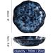 Ceramic Soup Plate Set of 2 Stackable Pasta Salad Bowls Blue Kitchen Serving Salad Plates-2plate-20cm-blue (Color : Blue Size : 1plate20cm) 1plate20cm Blue - Buy Online on GoSupps.com