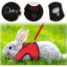 2-Pack Adjustable Pet Dishes & Leash for Rabbits Squirrels Bunnies Ferrets & Chinchillas - Ideal for International Shipping - Buy Online on GoSupps.com