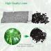Rongrong 12 Packs Natural Bamboo Activated Carbon Air Purifier Bags | Odor Remover for Shoes Closet and Sports Bag | 75g Each - Buy Online on GoSupps.com