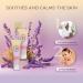 Bella Ciao Pack of 3 Daily Moisturizing Body Lotion Lavender-Scented Lotion for Dry Skin 24-Hour Hydration Made Without Synthetic Fragrances Phthalates Parabens and Dyes Travel-Friendly Size - Buy Online on GoSupps.com