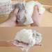 Gralara Body Puff Bath Sponge - Portable Shower Ball for Bathroom | Gray Bath Sponge for Ultimate Cleanliness - Buy Online on GoSupps.com