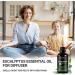 Organic Eucalyptus Essential Oil - 100% Pure for Diffuser, Sinus Relief, Aromatherapy - Natural Eucalyptus Oil for Skin, Hair, Scalp - Cold & Allergy Relief - Buy Online on GoSupps.com