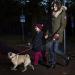 Flexi attachment LED Lighting System Black for dog walking - Buy Online on GoSupps.com