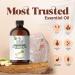 Lemongrass Essential Oil 4 Oz - 100% Pure & Natural Premium Aromatherapy Oil for Diffuser Humidifier Skin & DIYs - Undiluted Quality - Buy Online on GoSupps.com
