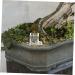 Hohopeti Pet Water Feeder Ants Feeding Bowl Insect Water Feeder Transparent Ants Feeding Cup Plastic - Buy Online on GoSupps.com