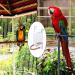Bird Mirror Cotton Rope Standing Bar Birdcage Perches Mirror Cage Hanging Toy for Cage Cockatiels Finch Canaries - Buy Online on GoSupps.com