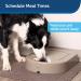 PetSafe 5 Meal Dog Food Dispenser - Automated Meal Planning for Dogs - Stores Up to 5 Cups of Kibble - Programmable Timer for Precise Feeding Schedule - Buy Online on GoSupps.com