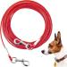 Cable ties for dogs 3.4 m 7.8 cm 15.2 m 15.2 m purchase festival robust dog cable for large dogs up to 113 kg durable dog leash for outside farm 15.2 m red 10ft