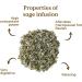 Sage Tea Loose Organic 100g (50 Cups) | Organic Sage Leaves Cleaned Chopped and Dried Ready to Infuse REPLANTEA - Buy Online on GoSupps.com