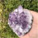 Amethyst 0.45kg Large Natural Amethyst Crystal Cluster Quartz Stone ZJGIDTEM - Buy Online on GoSupps.com