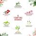 ASAKUKI Floral Essential Oils Set - Jasmine, Rose, Gardenia, Cherry Blossom, Neroli, Dark Tea Flower - Premium Fragrance Oil for Candle Making & Hair Care - 6x10ML - Perfect Gift for Women - Buy Online on GoSupps.com
