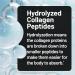 NatureWise Collagen Peptides Powder with Hyaluronic Acid and Vitamin C - Unflavored Collagen Peptides for Women & Men - Type I & III for Hair Skin & Nails - Sugar Gluten & Dairy Free - 30 Servings 1.36 Pound (Pack of 1) C  - Buy Online on GoSupps.com