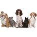 HULX Pet Odor Eliminator & Self Cleaning Pad - Nature Fresh Deodorizer for Dog & Cat Urine Smell Removal - 1 Pcs - Blue Odor Eliminator - Buy Online on GoSupps.com
