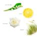 Gilchrist & Soames English Spa Oatmeal Hand & Body Bar Soap - 6oz | Citrus & Herbal Triple-Milled Paraben-Free - International Shipping - Buy Online on GoSupps.com