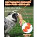 Buy Schitec Interactive Dog Toys - 2 Pack Squeaky Rope Toys for All Dog Sizes | Perfect for Training & Play - Buy Online on GoSupps.com
