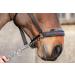 LeMieux Pro-Safe Headcollar for Horses & Ponies in Black - Adjustable for Perfect Control in Hand Use Only Full Black - Buy Online on GoSupps.com