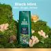 Irish Spring Black Mint Body Wash for Men 20 Fl Oz - Pack of 4 - Buy Online on GoSupps.com