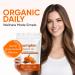 Pumpkin Seed Oil Capsules 2 in 1 Pumpkin Seed Oil with Saw Palmetto for Hair 3000mg Pure & Natural Supplement Supports Hair Heart Skin Supplement Non-GMO Gluten Free 300 Softgels (1) - Buy Online on GoSupps.com