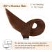 AGMITY Tape in Hair Extensions Human Hair 100% Remy Human Hair Chocolate Brown 50g/pack 20pcs Straight Seamless Skin Weft Tape in Human Hair Extensions(24 inches #4 Chocolate Brown) 24 inch #4 Medium Brown - Buy Online on GoSupps.com