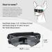 Stylish UV Protection Sunglasses for Small Dogs - Windproof Anti-Fog Dog Goggles in Black - Buy Online on GoSupps.com