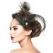 1920s Peacock Feather Hair Clip | Flapper Headpiece for Vintage Style - Buy Online on GoSupps.com