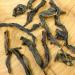Th Dancong Yu Lan Xiang au parfum de magnolia Th Oolong de Taiwan de go t (250g*3 Sacs) - Buy Online on GoSupps.com