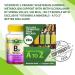 Spring Valley Vitamin B12 Organic Vegetarian Gummies 500 mcg with Methylcobalamin - Metabolism Support - 100 Ct Bundle with Exclusive Vitamins & Minerals - A to Z Guide - Buy Online on GoSupps.com