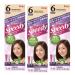 BIGEN SPEEDY CONDITIONING COLOR (#6 Medium Brown) Pack of 3 + Free Tint Brush - Buy Online on GoSupps.com