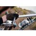 LEZYNE Digital Shock Drive Pump - Black/Gold - One Size | High-Quality Bike Pump - Buy Online on GoSupps.com