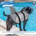 SUNFURA Dog Life Jacket | Shark Fin Design Pet Vest for Safety & Buoyancy | Rescue Handle | Swim Pool Beach Boating | Adjustable Ripstop Lifesaver | Small Medium Dogs - X-Large Silver - Buy Online on GoSupps.com
