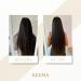 Kedma - Gommage Exfoliant Cheveux et Cuir Chevelu - Pour Cheveux Ab m s et Cuir Chevelu Sec - Purifiant Nourrissant et Revitalisant - Avec Sels de la Mer Morte - 300g - Buy Online on GoSupps.com