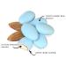 Cambie Jordan Almonds | Pastel Blue Candy Almonds in Assorted Colors | Premium Roasted Almonds with a Sweet Sugar Coating | For Weddings  Parties and Holidays (1 lb) 1 Pound (Pack of 1) - Buy Online on GoSupps.com